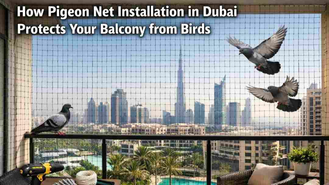 Pigeon Net