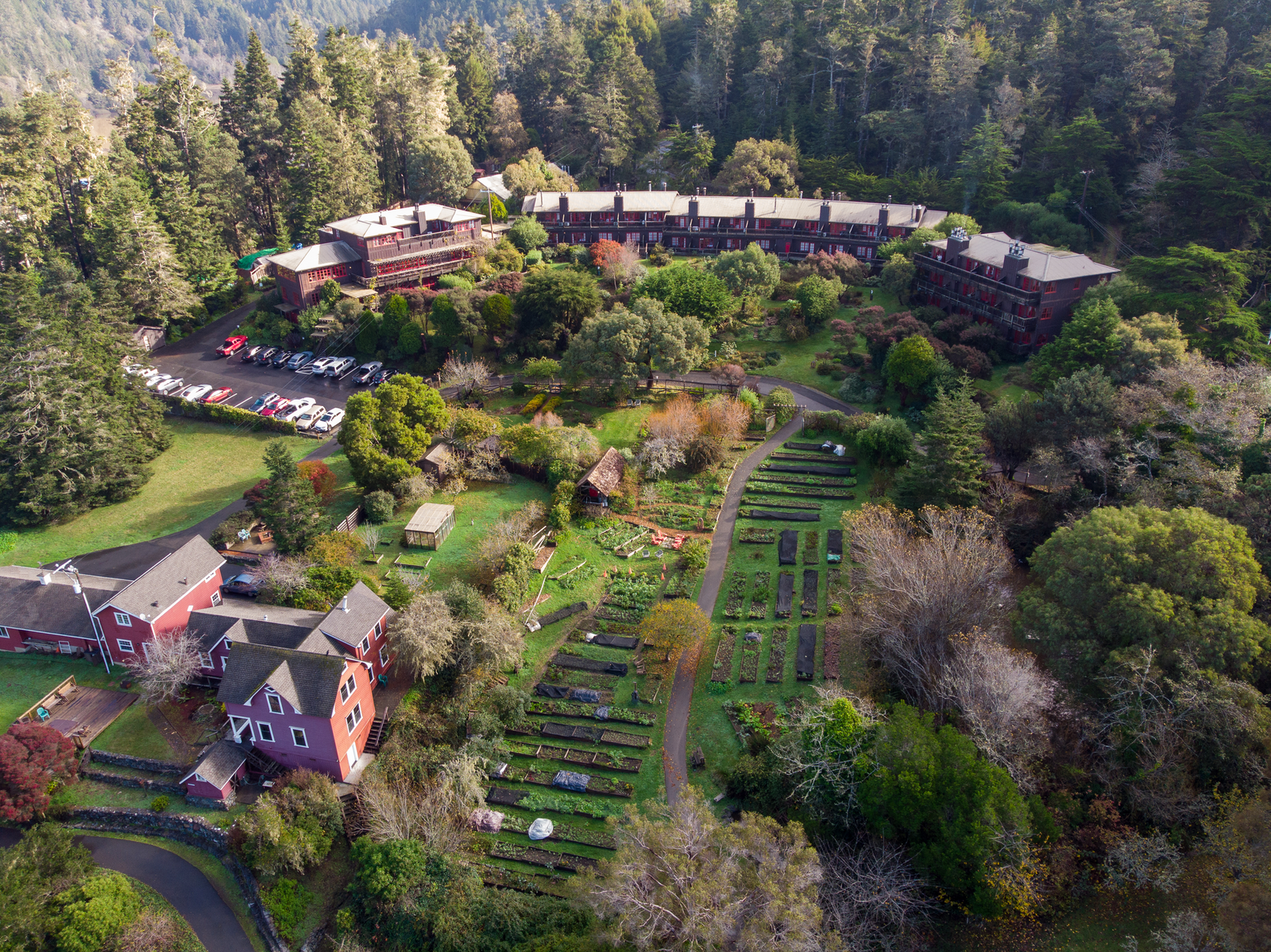 What Are the Best Stops Between San Francisco and Mendocino for Food and Scenery